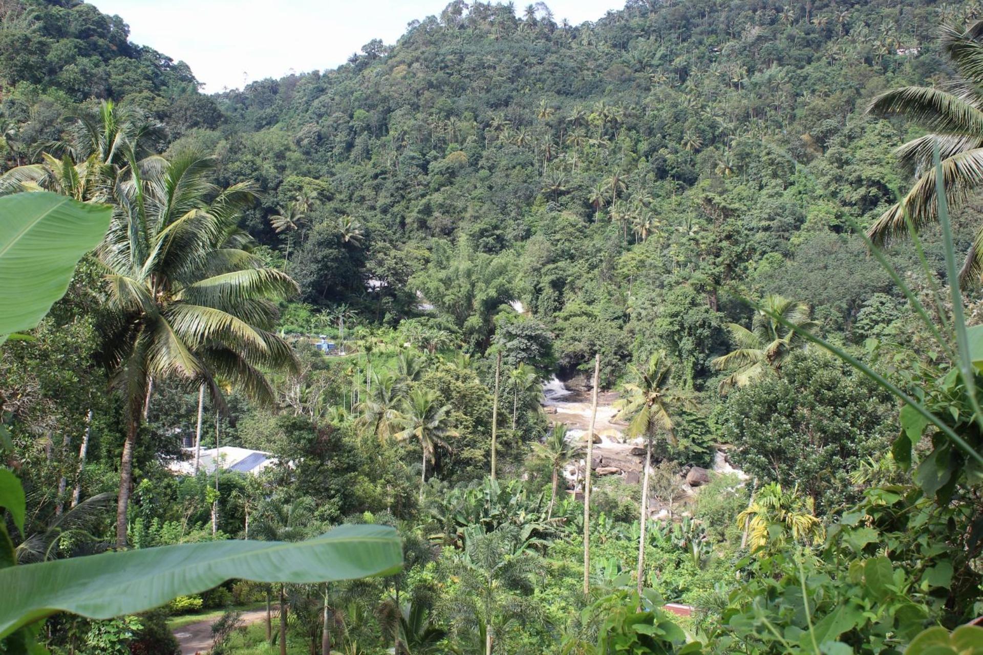 Munnar Village Homes Kültér fotó